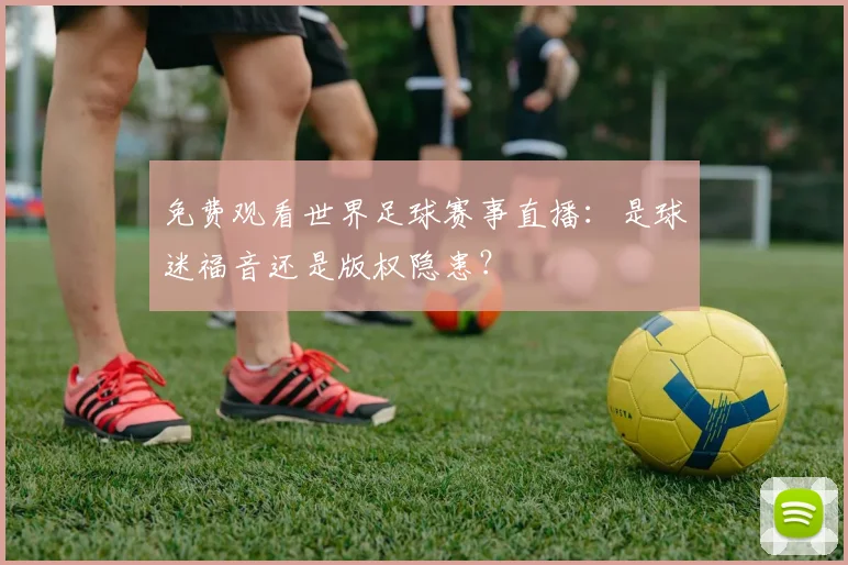 免费观看世界足球赛事直播：是球迷福音还是版权隐患？