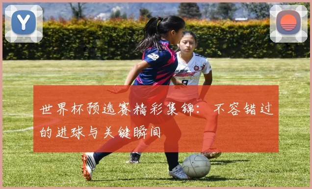 世界杯预选赛精彩集锦:不容错过的进球与关键瞬间